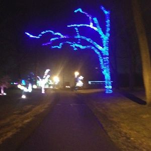 Meet your Posher, Carole